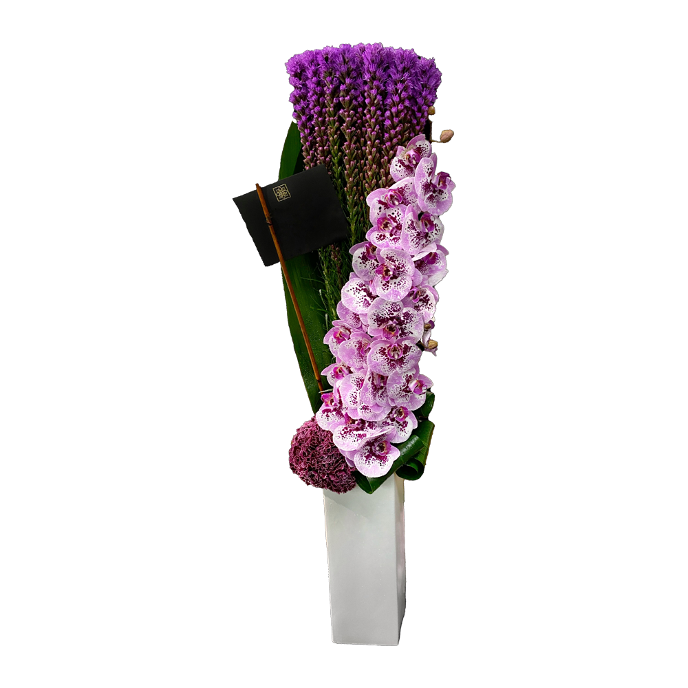 Afv300-6 – Amazing Flowers Boca